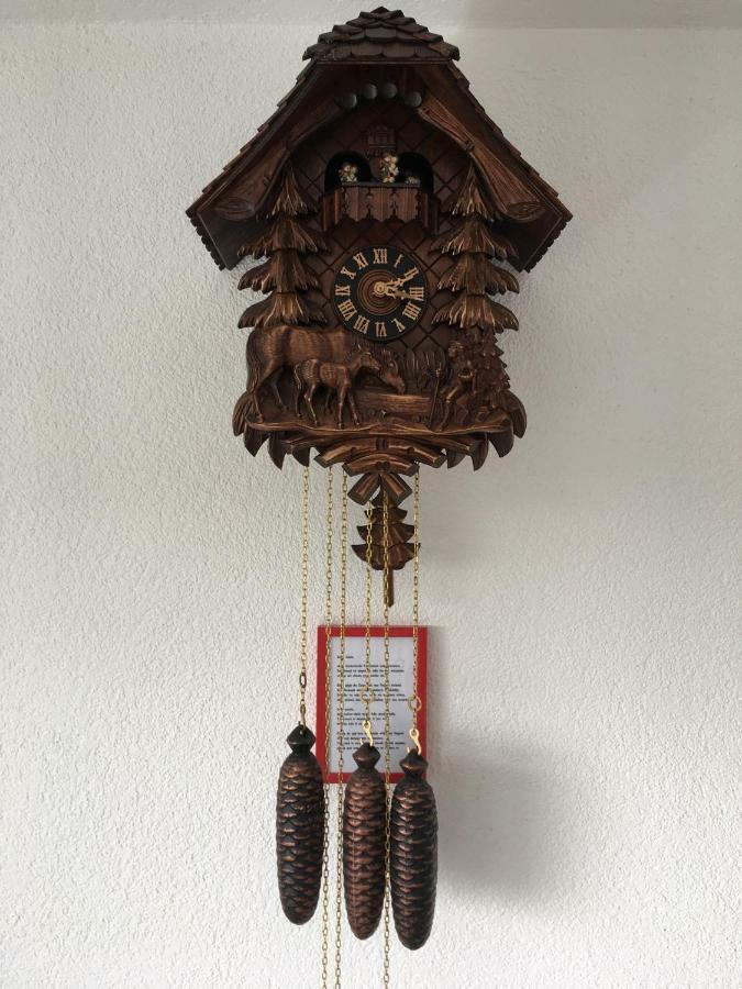 Appartement Bergwaerts Rickenbach  ภายนอก รูปภาพ