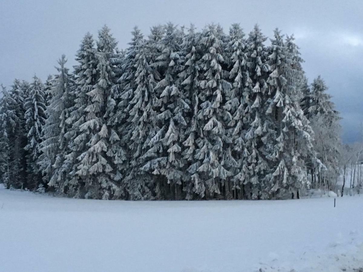Appartement Bergwaerts Rickenbach  ภายนอก รูปภาพ